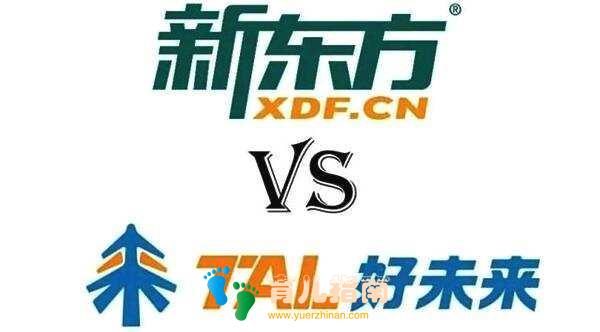 龚振宇：金宝贝是如何成功的，以及目前所存在的风险和机会有哪些