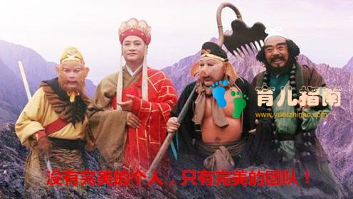 龚振宇：金宝贝是如何成功的，以及目前所存在的风险和机会有哪些