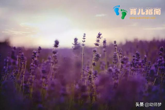 新学期,你一定用得上的幼儿园大班游戏