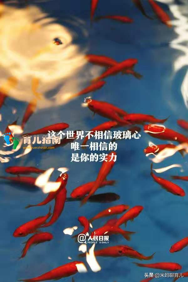 致为人父母：九句强心针，没有强大的精神，何以育儿成器