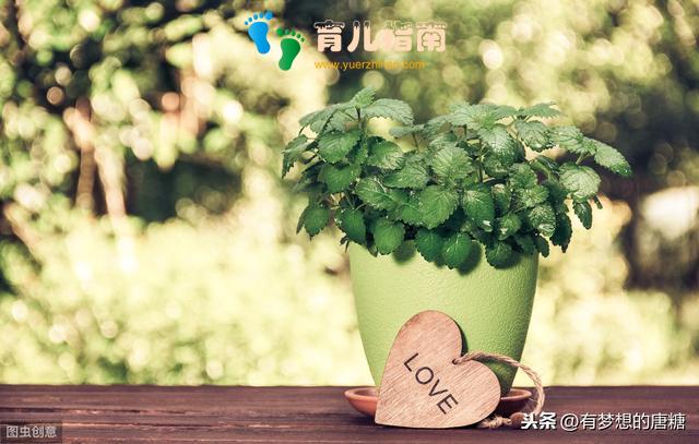 心理学:父母嫌弃的不是孩子,而是不曾接纳的自己”