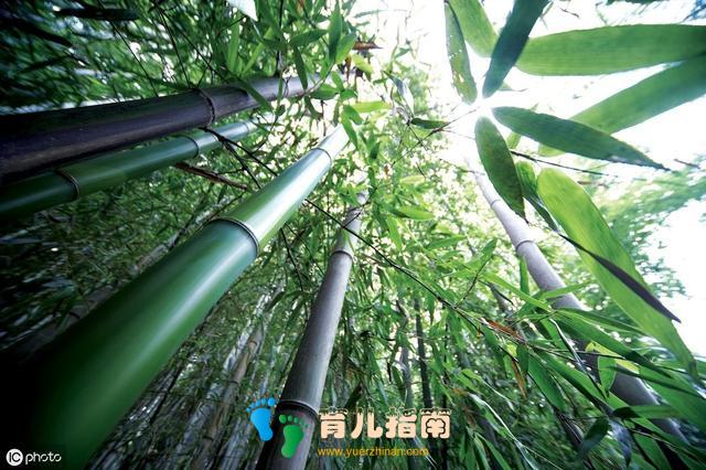 审美力是孩子未来的核心竞争力,拒做美盲家长”,秘诀都在这里