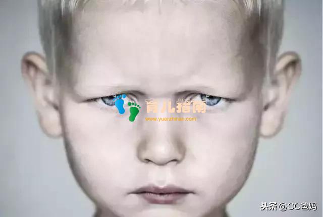 母子关系,如何影响你所有的关系