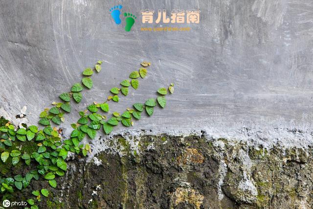 审美力是孩子未来的核心竞争力,拒做美盲家长”,秘诀都在这里