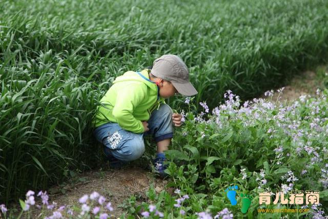 十几岁孩子成打赏主播主力军,金钱教育”的缺失,让孩子无界限