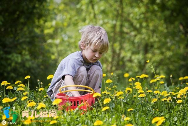 审美力是孩子未来的核心竞争力,拒做美盲家长”,秘诀都在这里