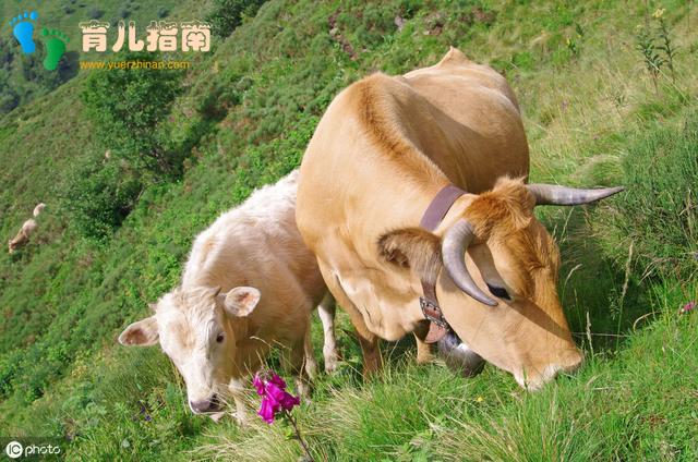 审美力是孩子未来的核心竞争力，拒做美盲家长”，秘诀都在这里