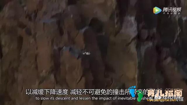 61万个50岁的孩子”啃老80岁父母,狠心才是最好的教育