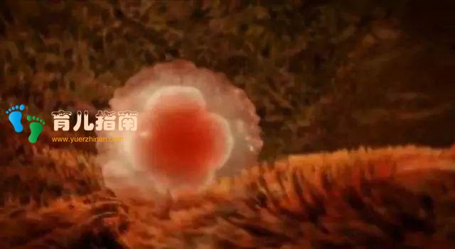 封闭抗体阴性需要治疗吗?#清风计划##健康早班车#