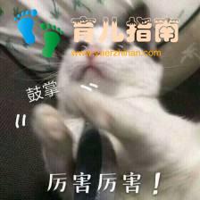 亲子阅读”的正确打开方式