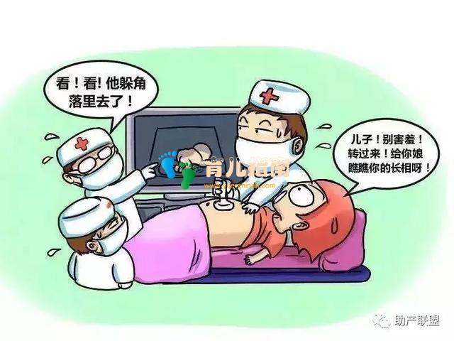 NT检查这么重要,但是超过这个孕周就没用了!你知道吗?