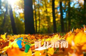 孩子夏季没长个？把握好秋季没准能补回来，3大方面做好就行