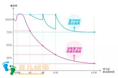 孩子英语学了就忘?Don't worry,英语复习有妙招