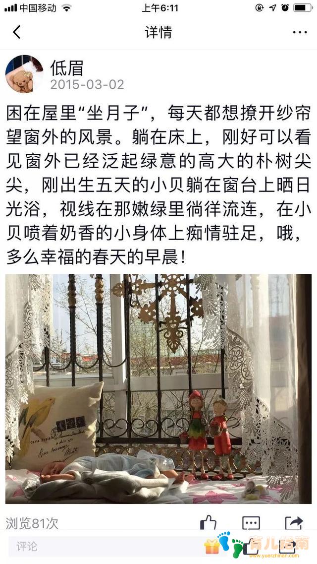 为多肉痴,为多肉狂,开学季,宝妈喜洋洋