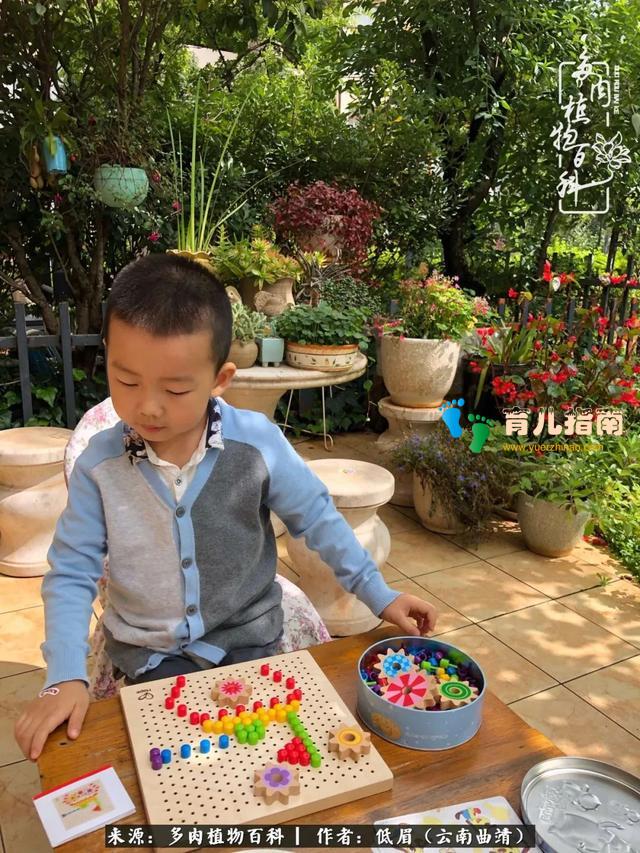 为多肉痴,为多肉狂,开学季,宝妈喜洋洋