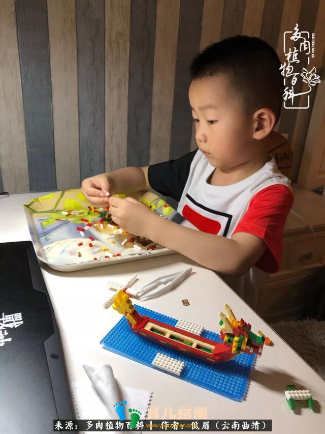 为多肉痴,为多肉狂,开学季,宝妈喜洋洋