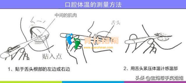 都不准的体温计(三) 电子体温计的使用方法