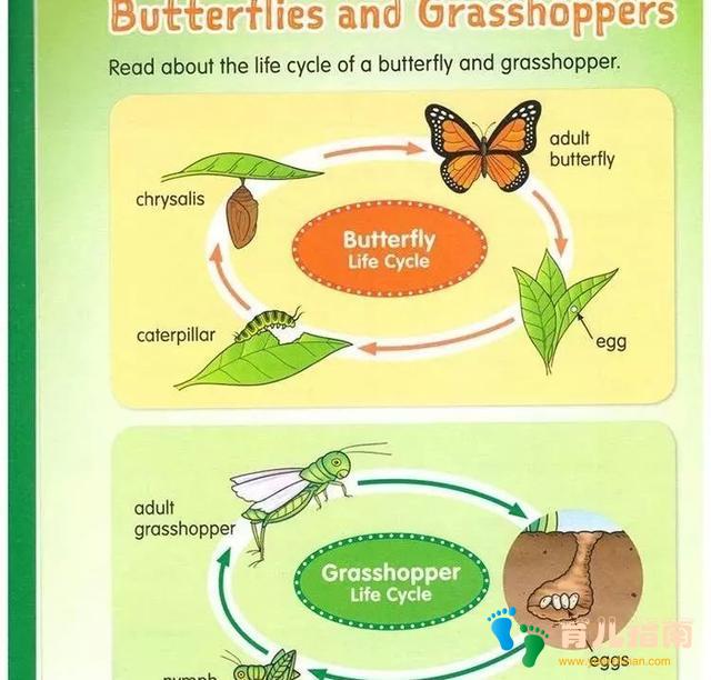 团 | 开学季，给孩子一套全科学习的利器：Skill Sharpeners铅笔刀练习册