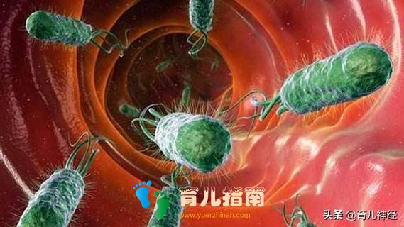 有这4种特征的人,家长千万别让他们碰自己的孩子