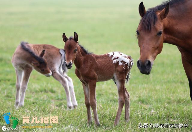 爸爸好，还是妈妈好？3岁孩子的回答，让家长瞬间开心不起来