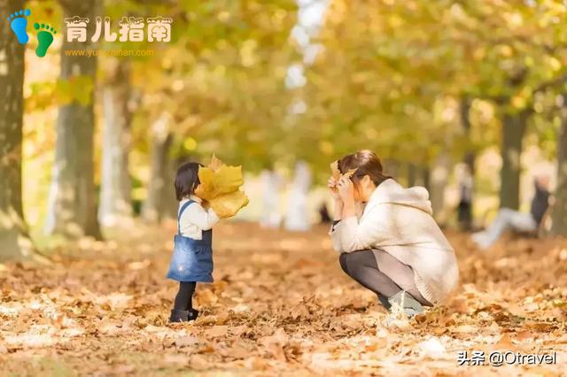 红叶与和牛,日本幼儿园半日生活体验,小众北海道秋天亲子玩法