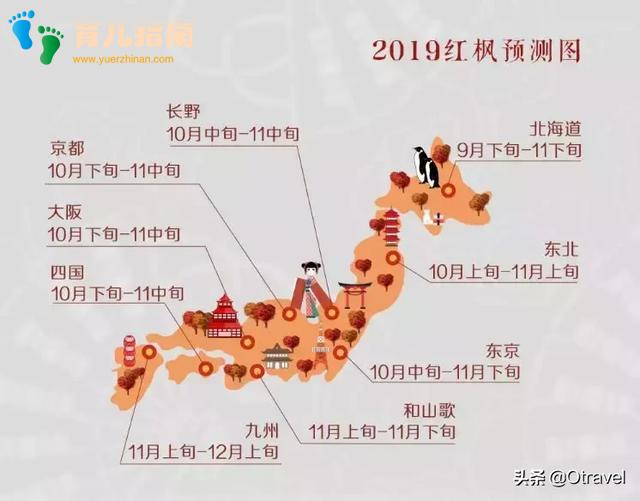 红叶与和牛,日本幼儿园半日生活体验,小众北海道秋天亲子玩法