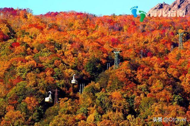 红叶与和牛,日本幼儿园半日生活体验,小众北海道秋天亲子玩法