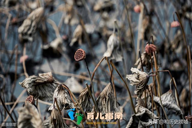 「传奇」梁武帝累修成佛·转世报应,你想要的佛家故事这里都有