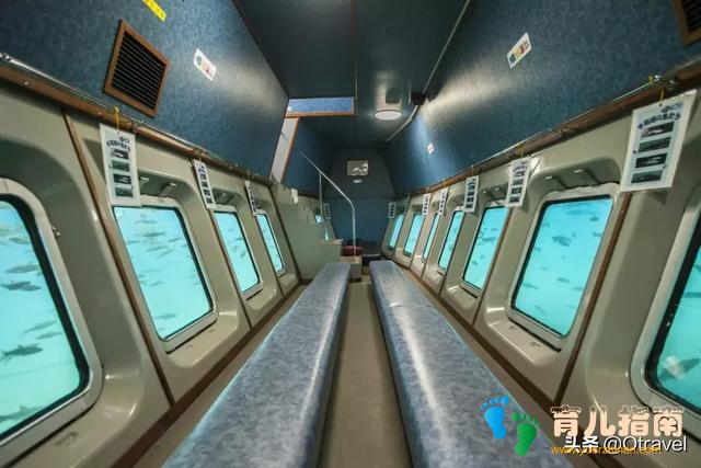 红叶与和牛,日本幼儿园半日生活体验,小众北海道秋天亲子玩法