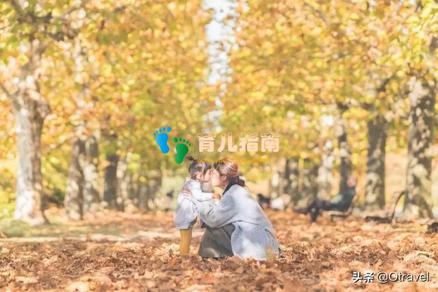 红叶与和牛,日本幼儿园半日生活体验,小众北海道秋天亲子玩法