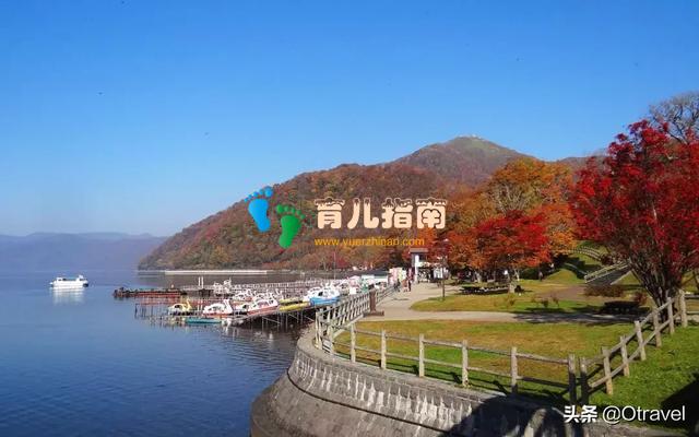 红叶与和牛,日本幼儿园半日生活体验,小众北海道秋天亲子玩法