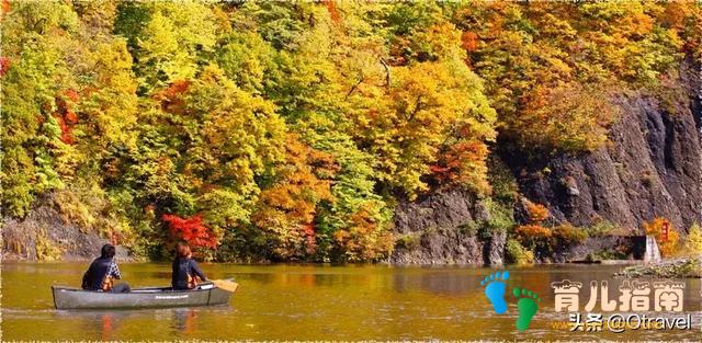 红叶与和牛,日本幼儿园半日生活体验,小众北海道秋天亲子玩法