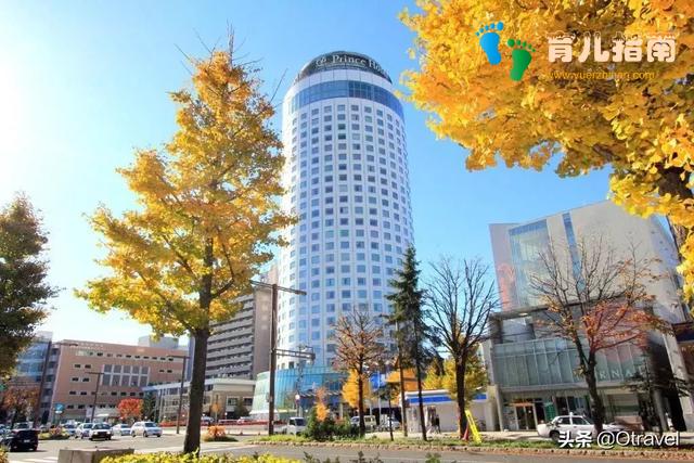 红叶与和牛,日本幼儿园半日生活体验,小众北海道秋天亲子玩法