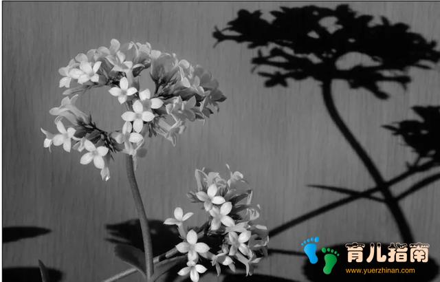 41岁宝爸突然猝死:生命来来往往,哪有来日方长?