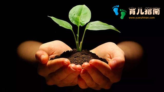 高考志愿填报问题之一：选省内还是省外院校，有何优势？答案在这