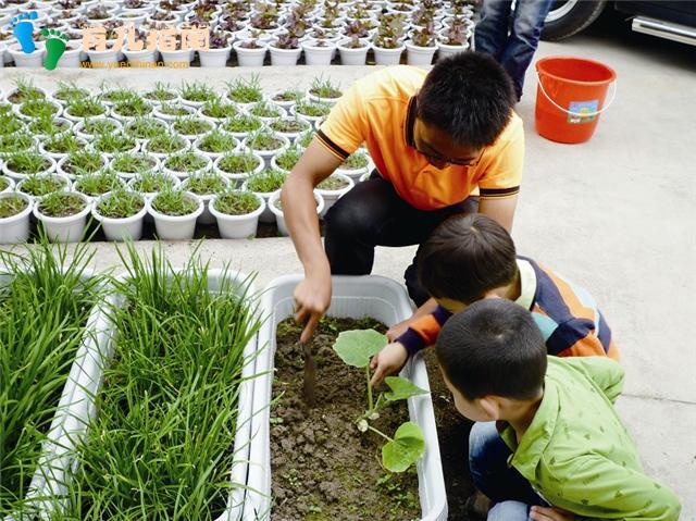 想让孩子更接近成功”，比尔·盖茨父亲告诉您，童心”很重要