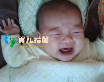 家有四脚吞金兽，呼风唤雨，初为人父为人母是什么样体验？