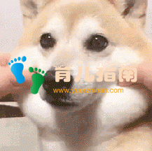 #清风计划# 孩子为什么会流口水?口水流得太多,有什么问题?