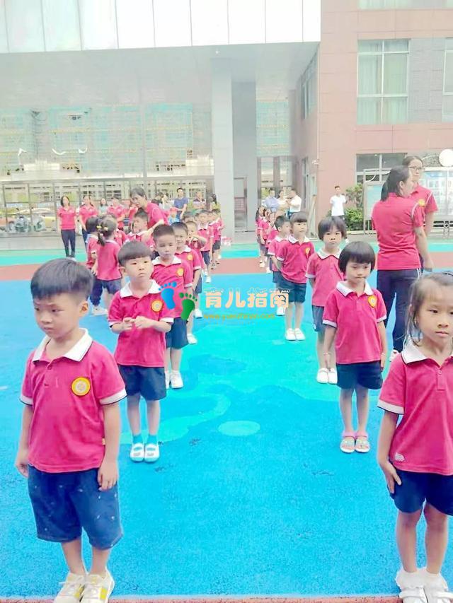 新学期，新篇章——阳江金摇篮幼儿园开学礼圆满落幕