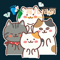 新学期，新篇章——阳江金摇篮幼儿园开学礼圆满落幕