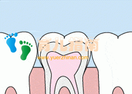 孩子出牙晚是缺钙?最坑娃的10大护牙误区一次说清