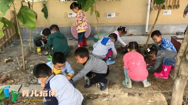 幼儿园里藏着很多秘密,看去探秘吧!