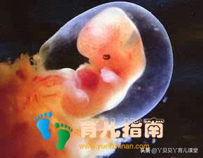 孕期妈妈做了这些事，孩子出现手指变形和耳朵失聪，要远离