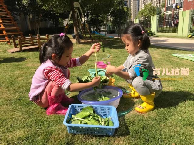 幼儿园里藏着很多秘密,看去探秘吧!