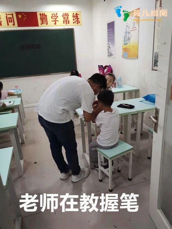 我儿子5岁,一周七天无休,兴趣班快把孩子给吃了