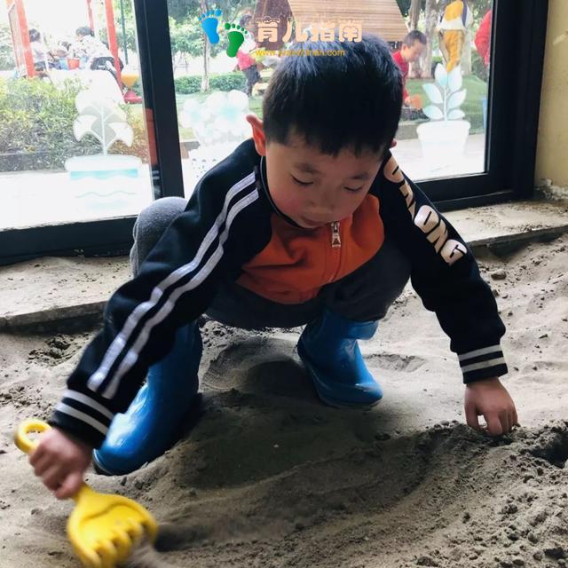 幼儿园里藏着很多秘密,看去探秘吧!