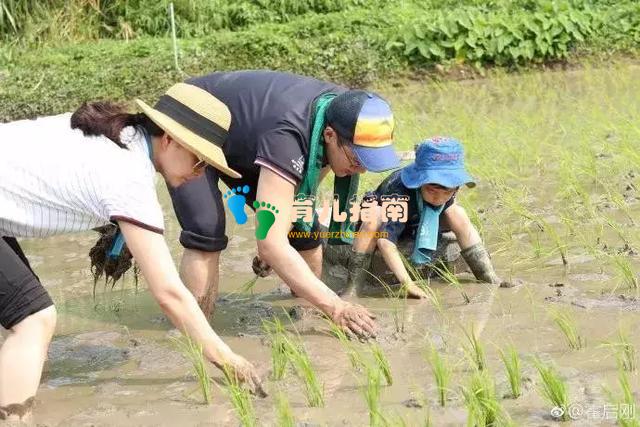 现在的孩子都不爱劳动,原因出在这儿……