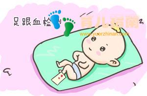 新生儿为什么要采集足跟血,再心疼也要做