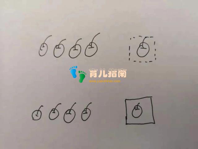 我儿子5岁,一周七天无休,兴趣班快把孩子给吃了