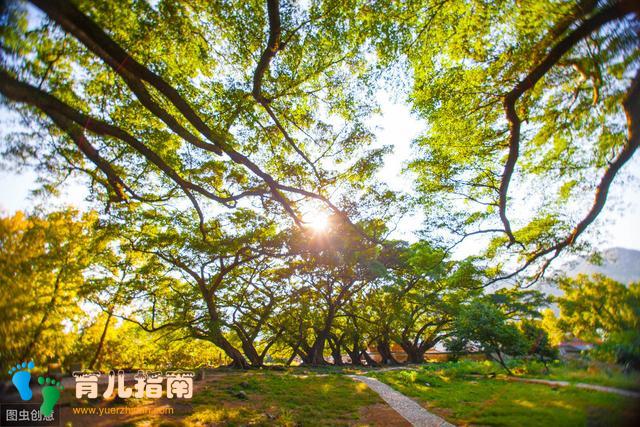 开学季的家长会让你学会做家长了吗?